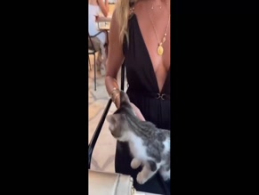 Amanda Holden's Cleavage Kitten Play