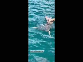 Georgia May Foote snorkeling ass up dive.