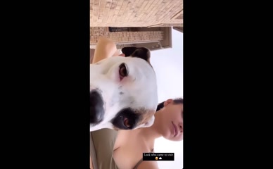 Melissa Barrera cleavage dog video