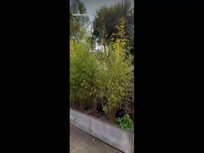 Maddy Moxley ass and boobs tease