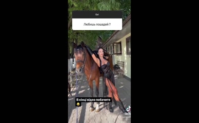 Elaina Judith Horseplay