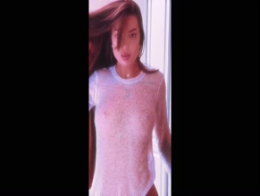 Pocahontas Persian Sheer Top Nipple Slip