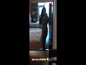 Dominique D'Angelo Bikini Mirror Selfie