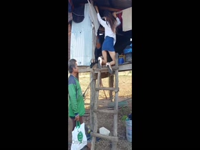 Girl in heels climbs ladder, skirt up
