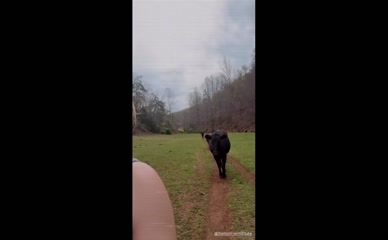 Katheryn Winnick cow pasture cleavage tease