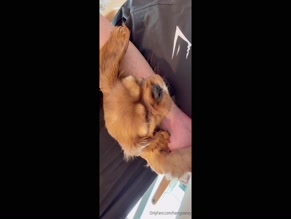 Harry Jowsey's Dog Snuggles.