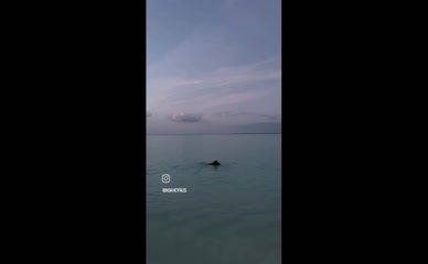 Noah Cyrus wet transparent swimsuit butt exposed.