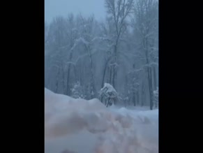 Scout Willis Nude Snow Run