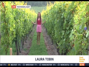 Laura Tobin nip slip.