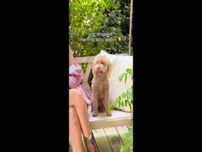 Millie Bobby Brown's Cleavage and Legs on Swing