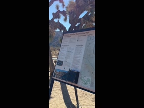 tinyarab Joshua Tree Explicit