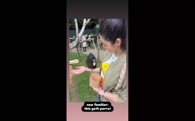 Jane Douglas feeds a parrot.