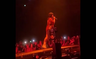 Billie Eilish Stage Split Crotch Flash