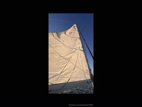 honestthief999's Tatted Topless Sailing Adventure