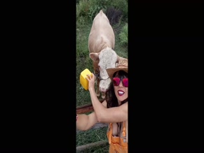 Talitacocina's Cleavage and Cow Feeding