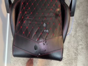 Realdaddypanda's Cum-Stained Gaming Chair