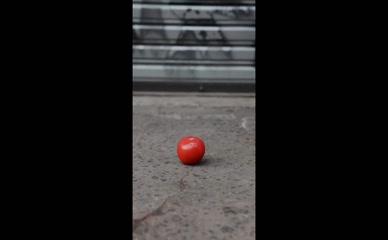 ghannelius Tomato Stomp