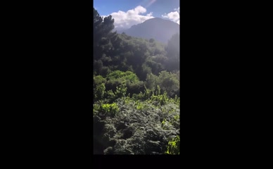 Victoria Valentine: Falling Rain Nude Nature Poem