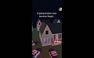 Frankie Bridge Braless Arrest Meme