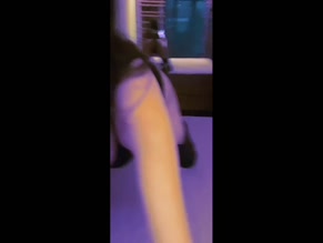 Adina_eni Ass Shake