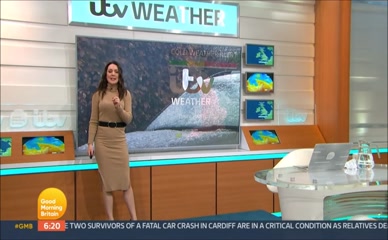 Laura Tobin's Ass-Hugging Dress.