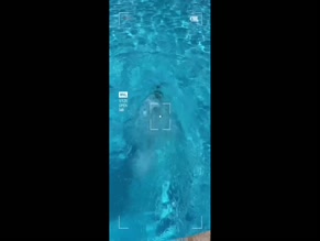 hannarosevip bikini cleavage buttocks