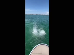 onlyavarose fully covered by bikini diving from boat