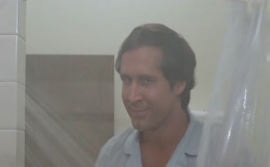 Beverly D'Angelo topless shower scene.