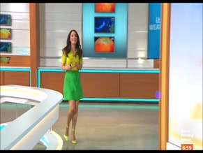 Laura Tobin's Legs and Feet in Skirts and Heels