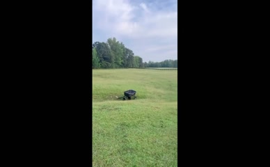 Millie Bobby Brown's Farm Animals
