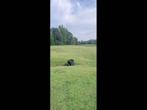 Millie Bobby Brown's Farm Animals