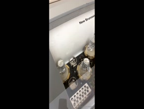 leeaof: Laboratory incubator content