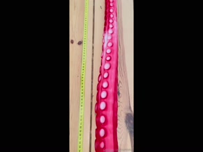 mightbelou's 108cm tentacle dildo