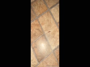 lianiiixox2: Tiled floor junk and ceiling damage