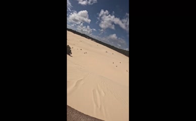Bridget Williams Sheer Leopard Bodysuit Sand Dune Ass Slide