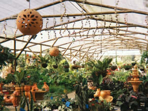 Alfigarden