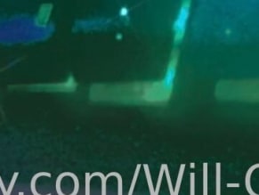 Will-O