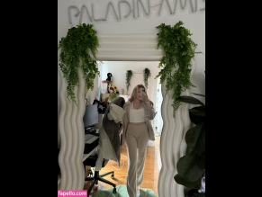 Paladinamber