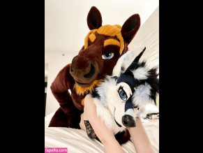 Murrsuit