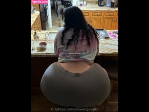 Snowangelcake