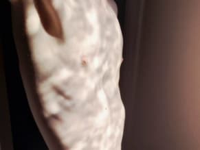 Raytracer5