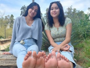 Screensoles