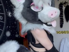 Alexpupstar