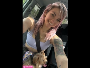 Seecatplay