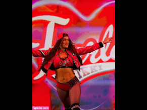 The Bella Twins:
