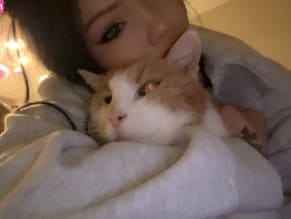 Justfoxii