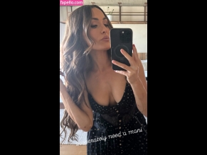 The Bella Twins: