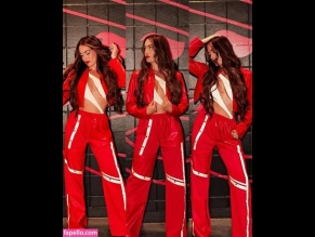 The Bella Twins: