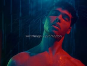 Brandoncardoso