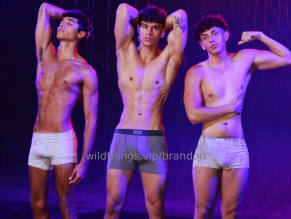 Brandoncardoso